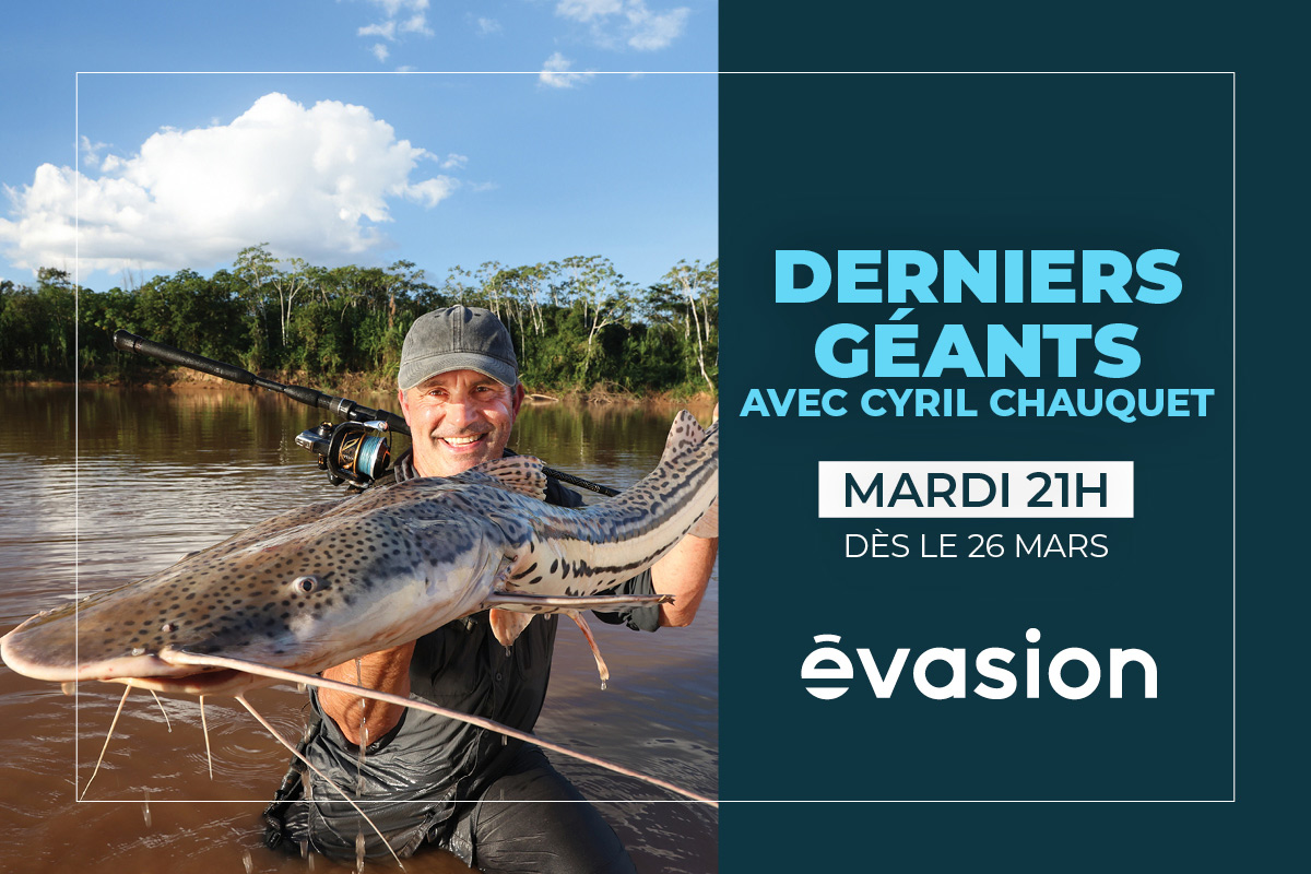 Cyril is searching for giant fish in remote regions of the planet. Every Tuesday from March 26.
