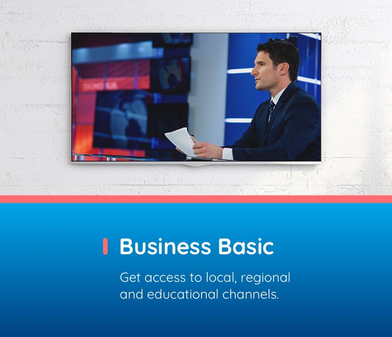 Business Basic. Get access to local, regional and educational channels.