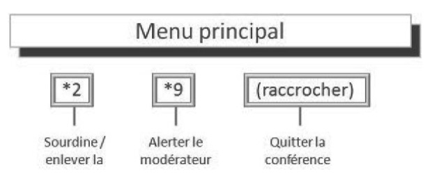 Carte de navigation téléphonique